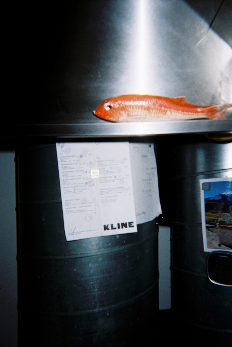KLINE - 000022